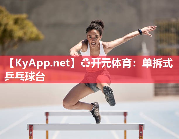 ♻开元体育：单拆式乒乓球台
