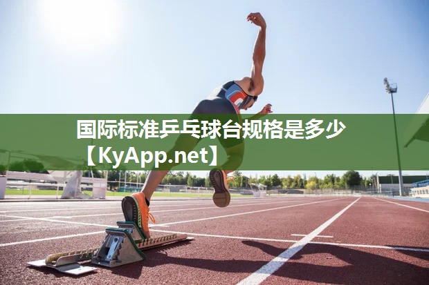 国际标准乒乓球台规格是多少
