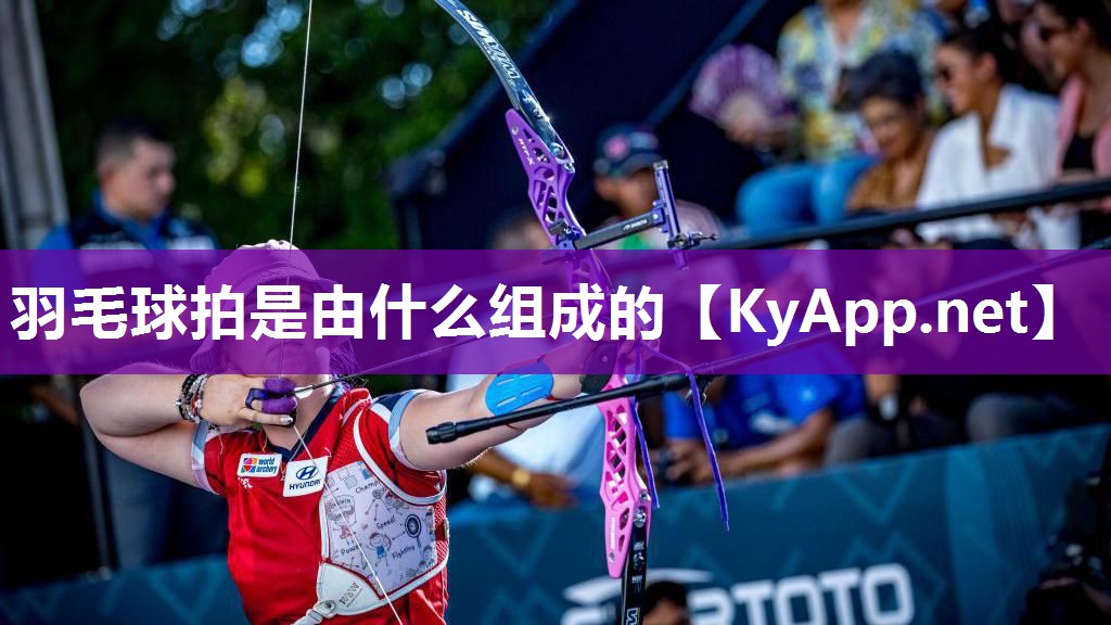 羽毛球拍是由什么组成的
