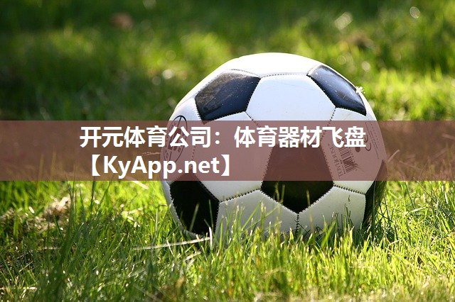 体育器材飞盘