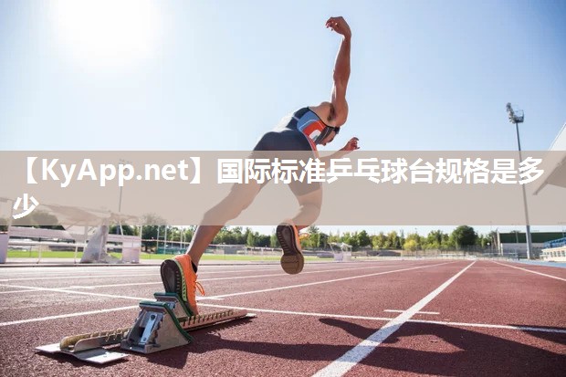 国际标准乒乓球台规格是多少