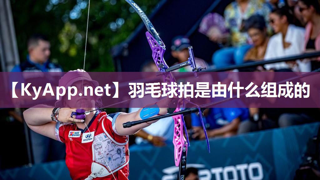 羽毛球拍是由什么组成的
